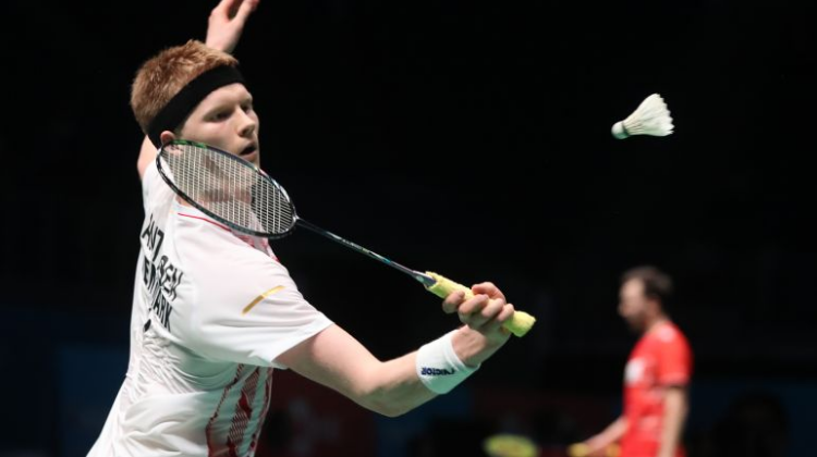 的团队贡献 的团队贡献